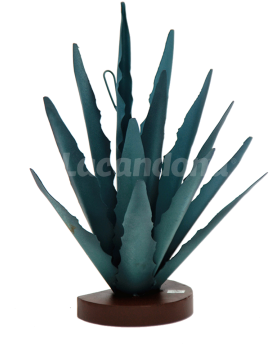 Decorative Agave - Sansevieria Cylindrica (360x360), Png Download