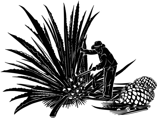 El Proceso - Agave Mezcal (600x388), Png Download