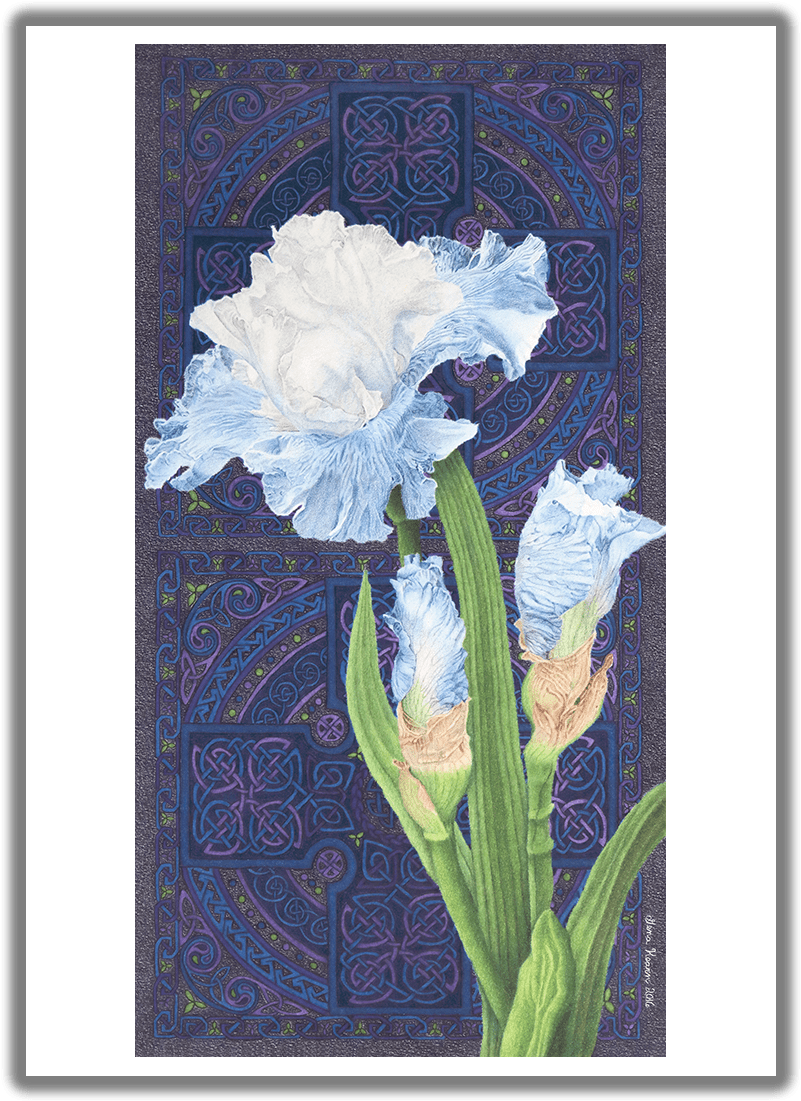 Abiding Faith Blue Iris Greeting Card - *blank Card (825x1125), Png Download