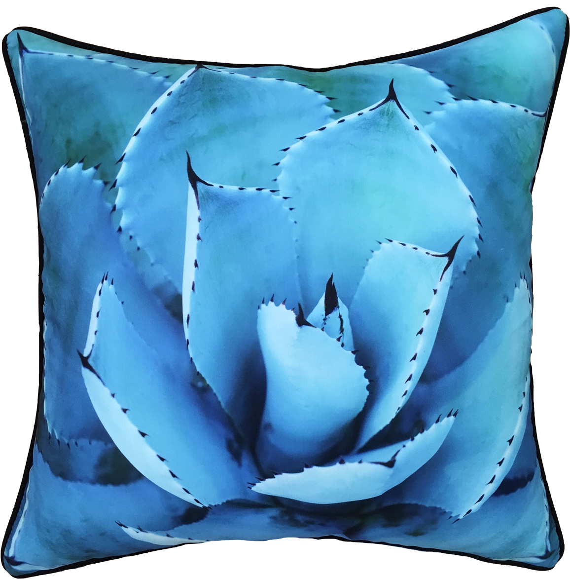 Golden Succulent Canvas Print, Oliver Gal Size: 20" (1200x1200), Png Download