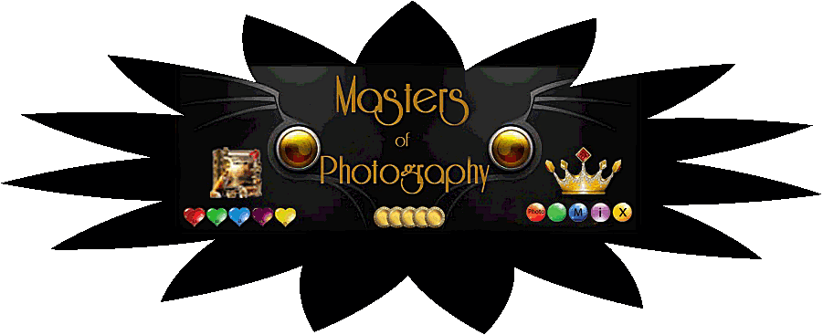 Masters Of Photography (901x367), Png Download