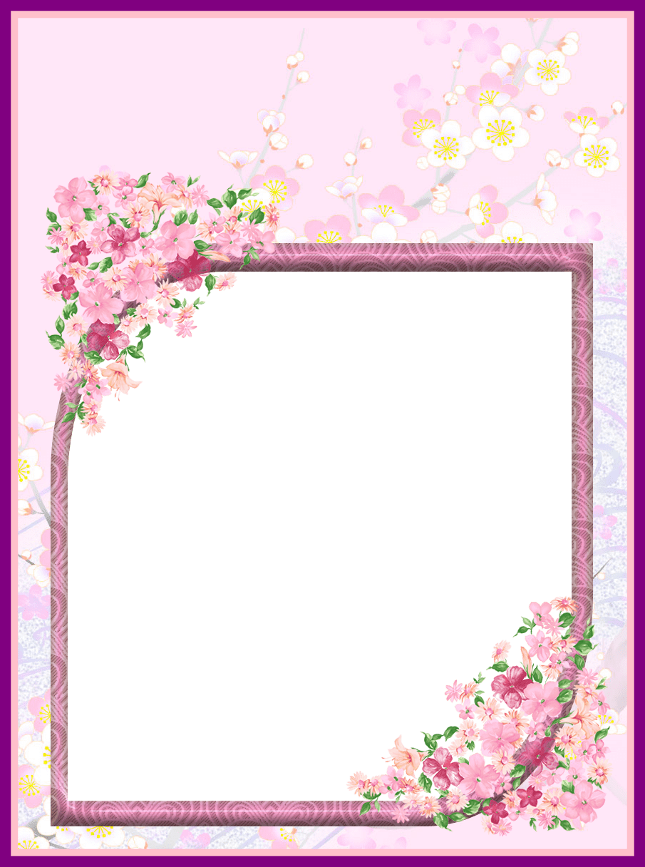 Dove Png Dove Png Transparent Background Stunning Pink (905x1216), Png Download