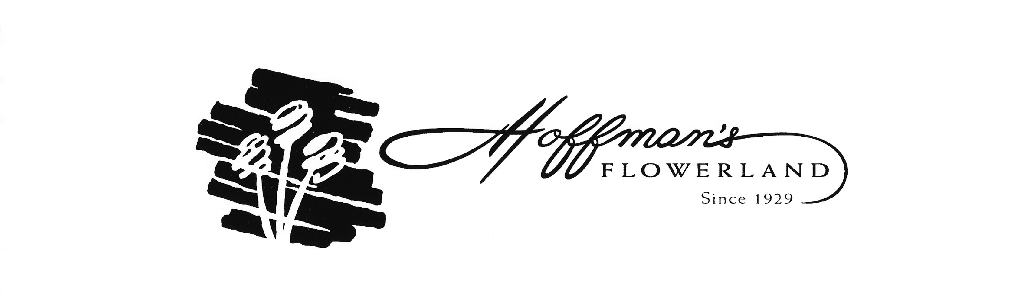 Birthday Bash Png (3381x1000), Png Download