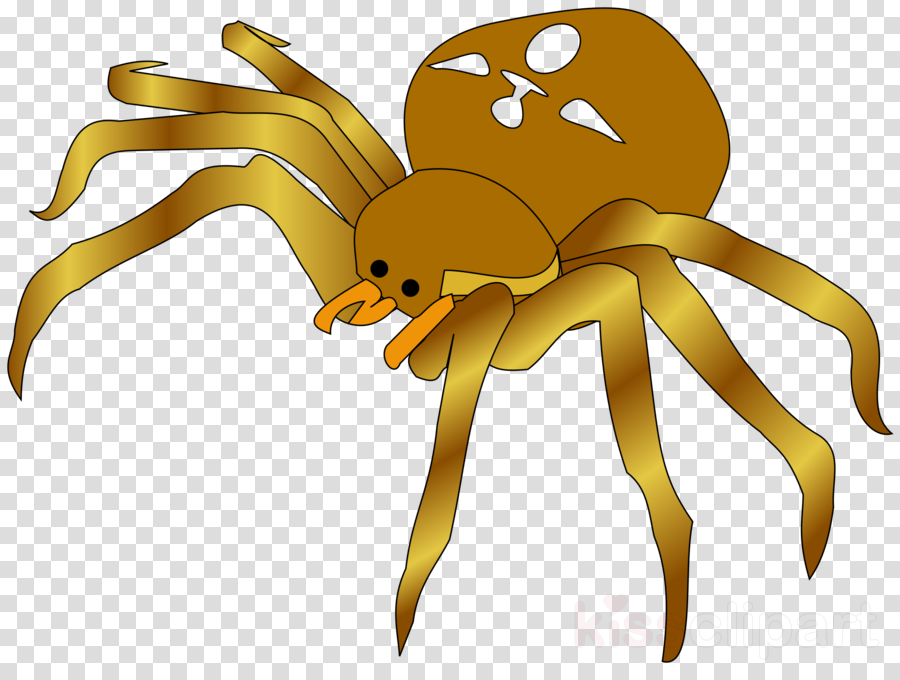 Spider Clipart Brown Recluse Spider Spider Web Clip (900x680), Png Download
