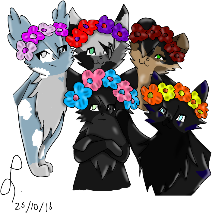 Flower Crown Transparent Png (800x800), Png Download