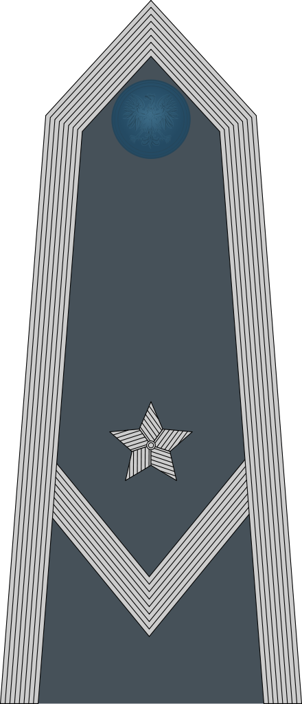 Rank Insignia Of Młodszy Chorąży Of The Air Force Of (440x1023), Png Download