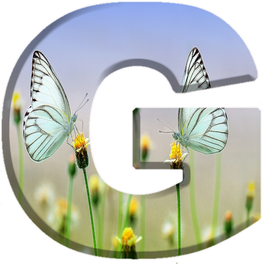 Alfabeto Decorativo Borboletas Png (1000x1000), Png Download