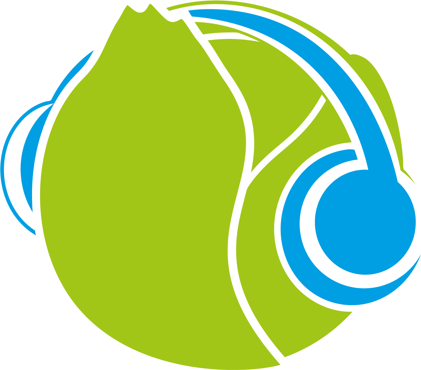 Cabbage (1405x1405), Png Download