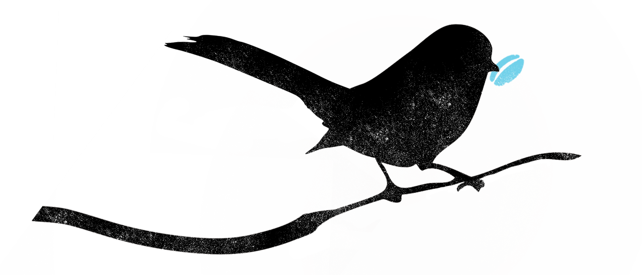Logo (2100x900), Png Download