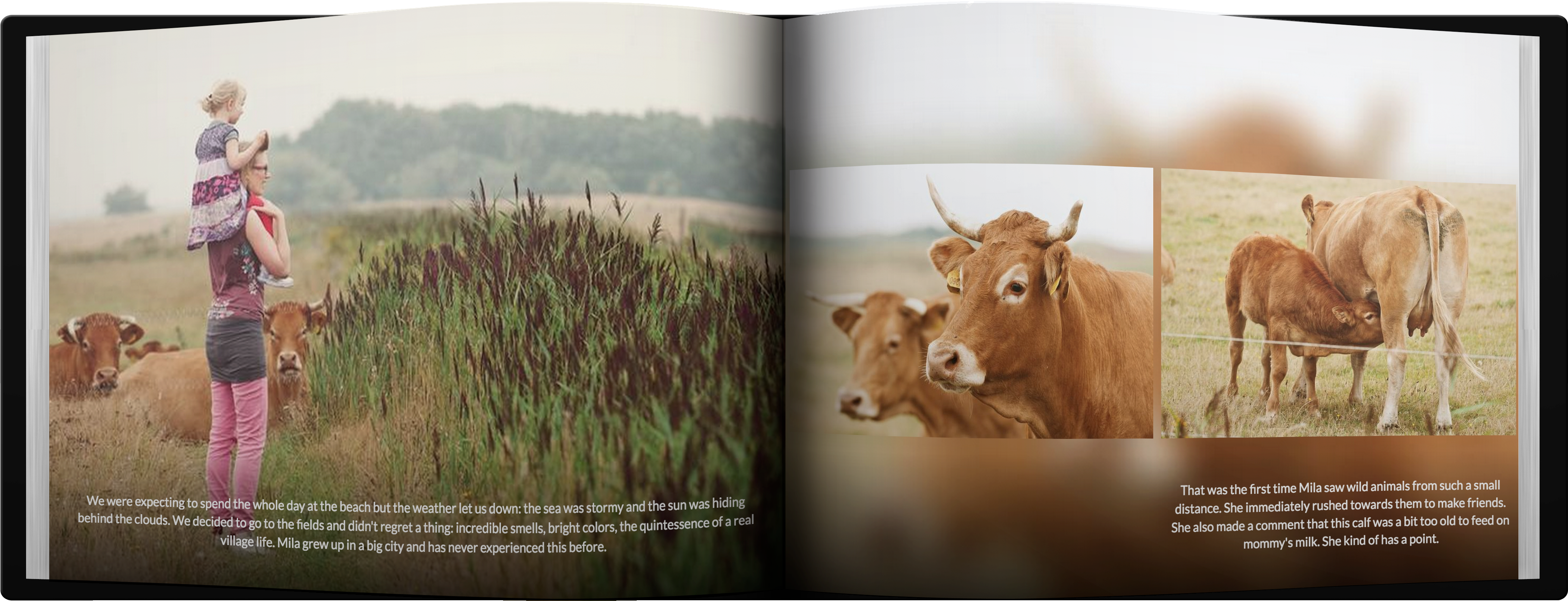 Cover Comparison Book (4400x1820), Png Download