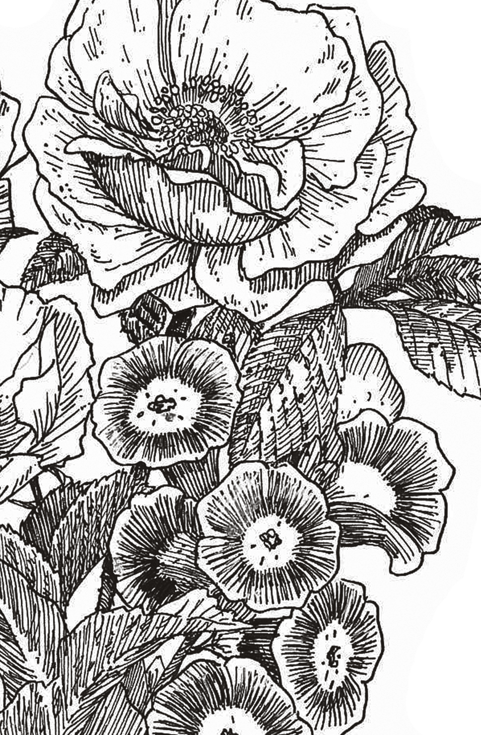 $50 Food And Beverage Credit Per Day (955x1460), Png Download