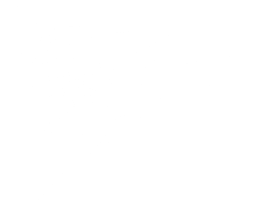 Free Png Download Corner Spider Web Png Images Background (850x690), Png Download