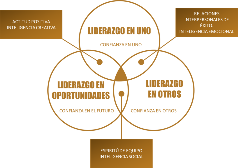 Modelo Lider Coach (1000x707), Png Download