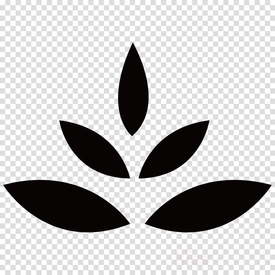 Star Icon Transparent Background Clipart Royalty-free (900x900), Png Download