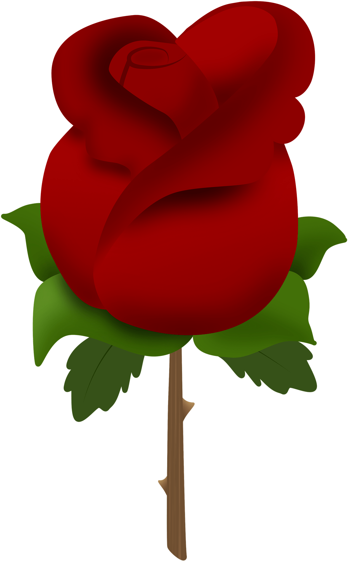 Rose (1920x1920), Png Download