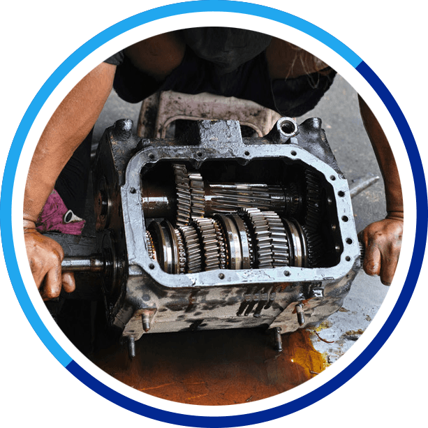 Efficient And Quality Services (613x613), Png Download