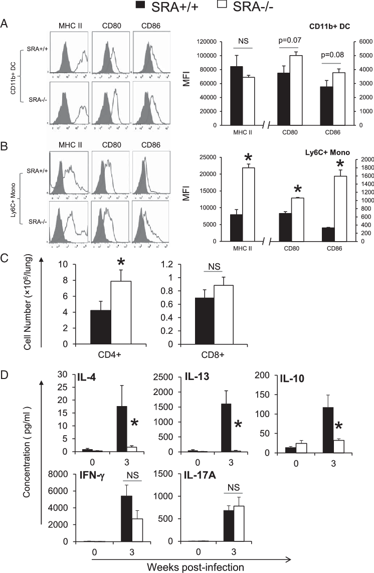 Effect Of Sra On Pulmonary Immune Polarization (746x1143), Png Download