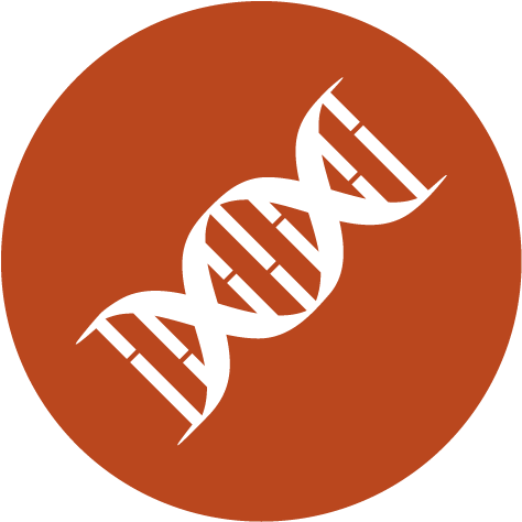 The Cambridge Bioscience Cdna Search Enables You To (591x591), Png Download