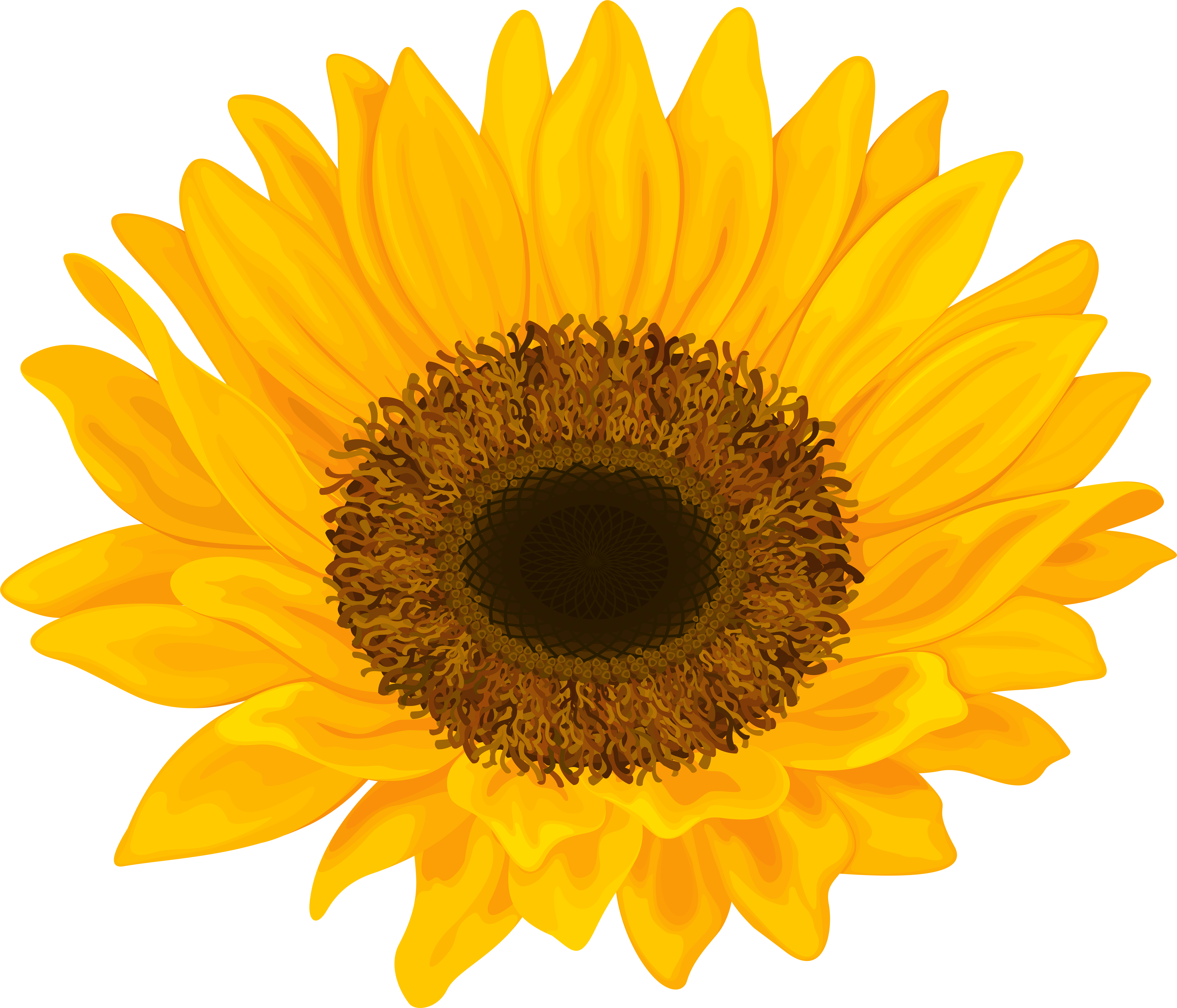 Sun Flower Png (8000x6848), Png Download