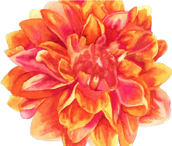 Petal Clipart Transparent Tumblr (640x480), Png Download
