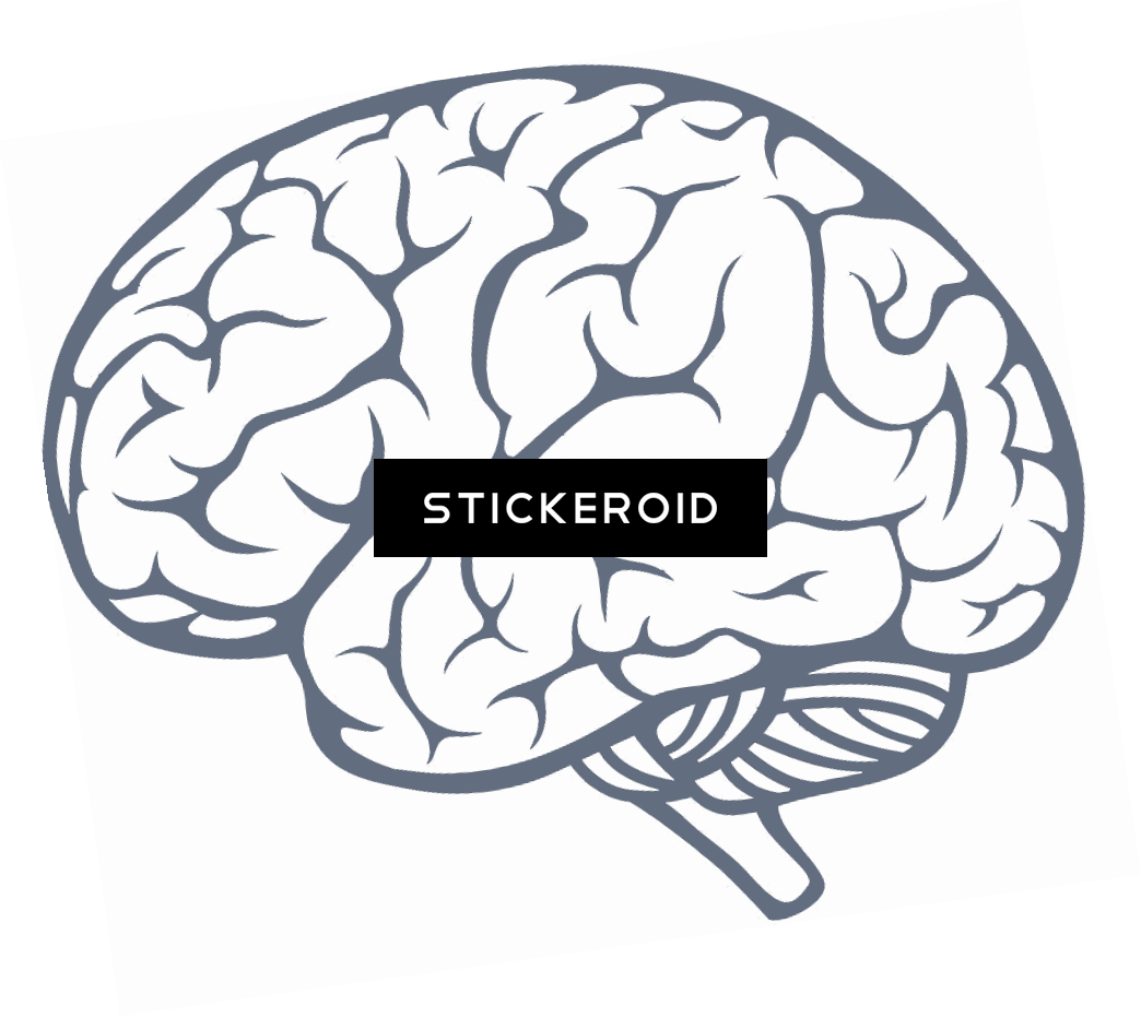 Mind (1044x931), Png Download