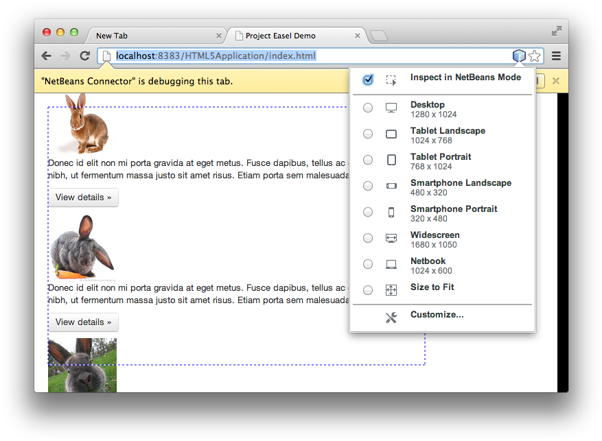 Responsive Web Design Capability (892x658), Png Download