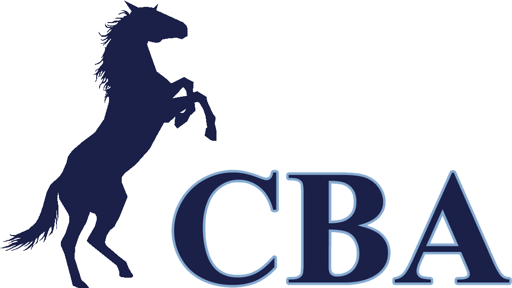 My Snapchat Geofilter For The Cba Campus Was Denied (1080x1920), Png Download