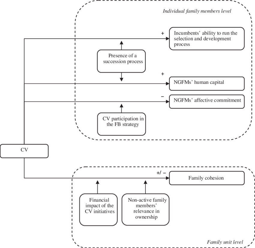 A Model On The Impact Of Cv In Fb (850x826), Png Download