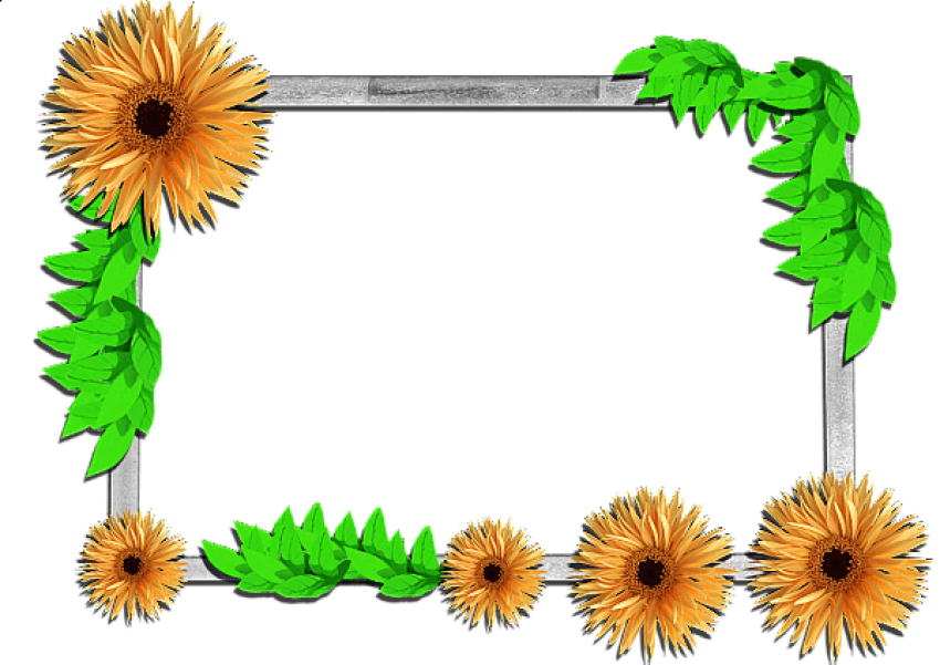 Free Png Best Stock Photos Flowers Frame Background (850x601), Png Download