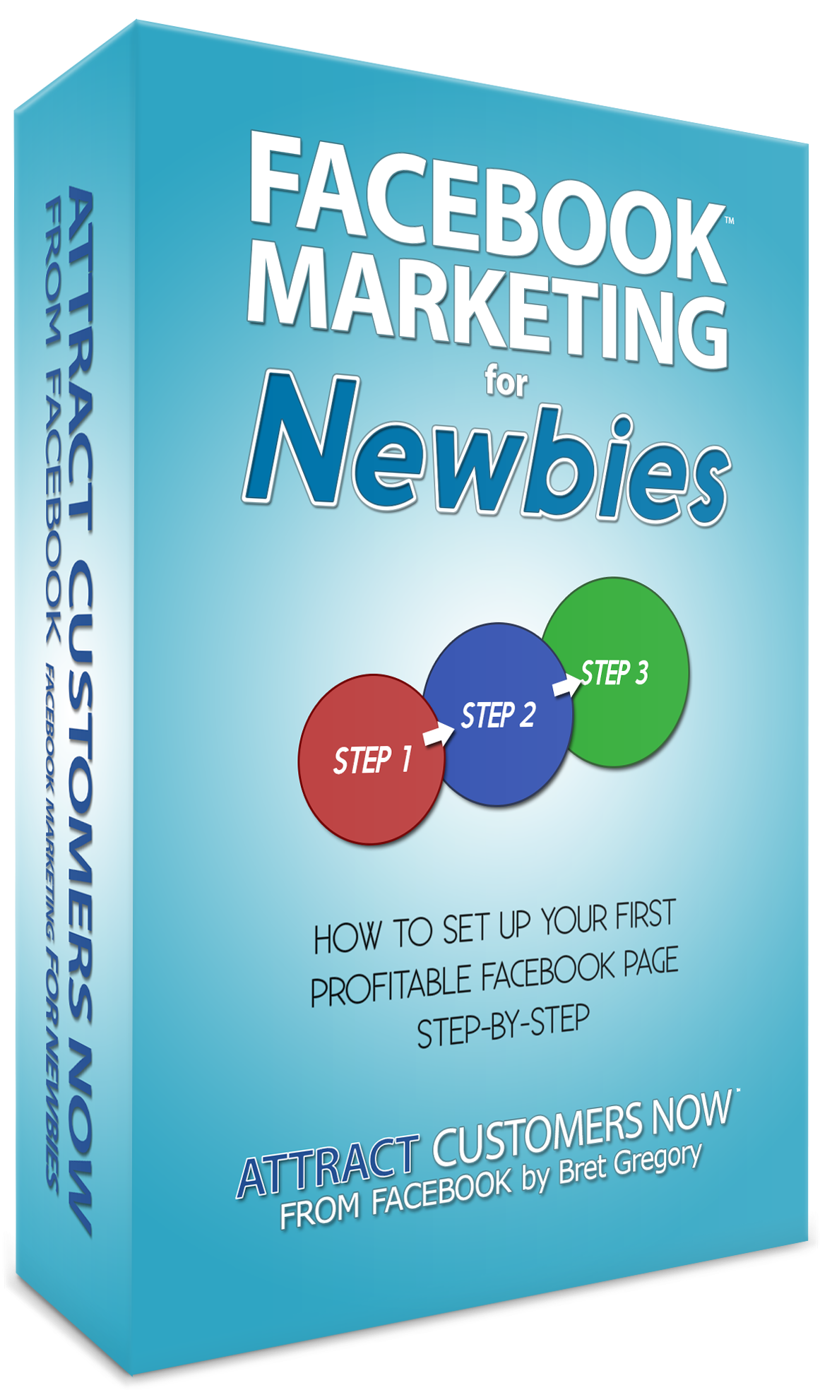 Facebook Marketing Newbies 3d Box Final (1590x2064), Png Download