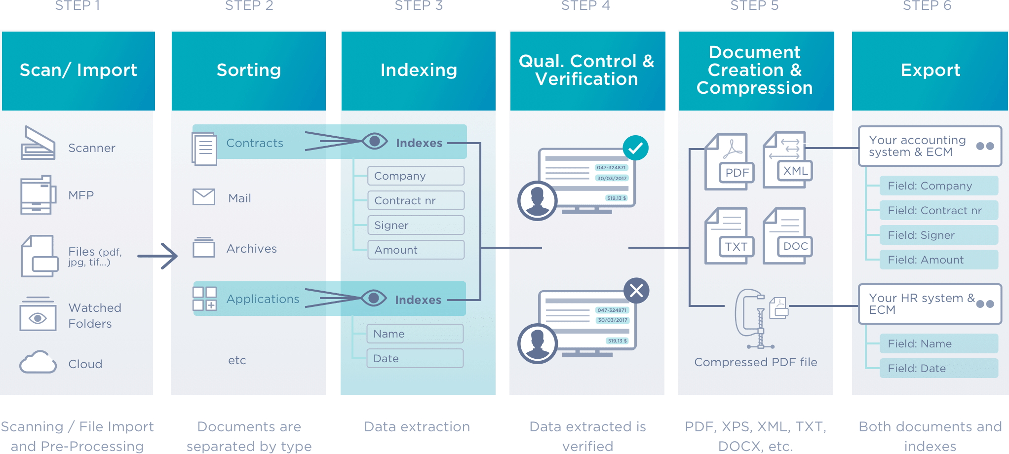 Steps In Your Future Project (2044x920), Png Download