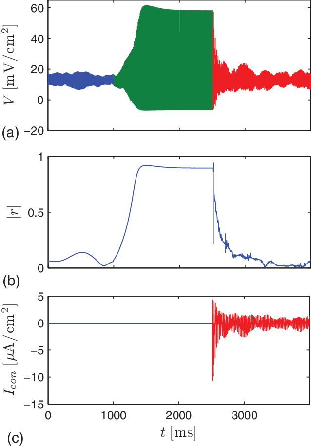 Dynamics Of An Ensemble Of N = 100 Hodgkin-huxley Neurons (638x914), Png Download