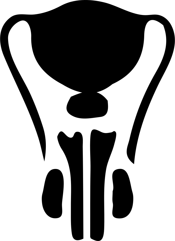 Png File Svg (710x980), Png Download