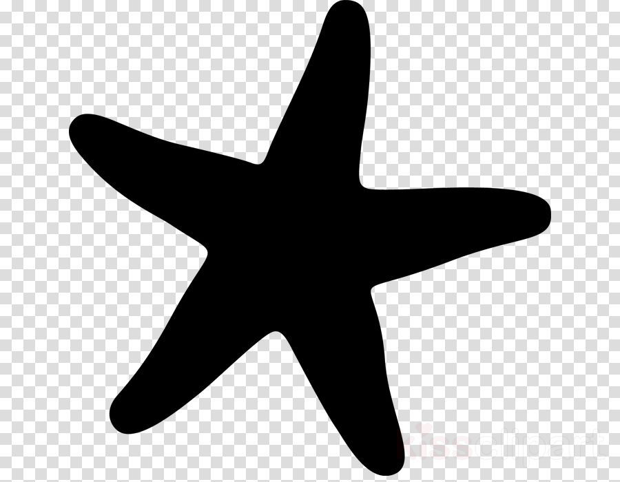 Sea Star Icon Clipart Starfish Computer Icons Clip (900x700), Png Download