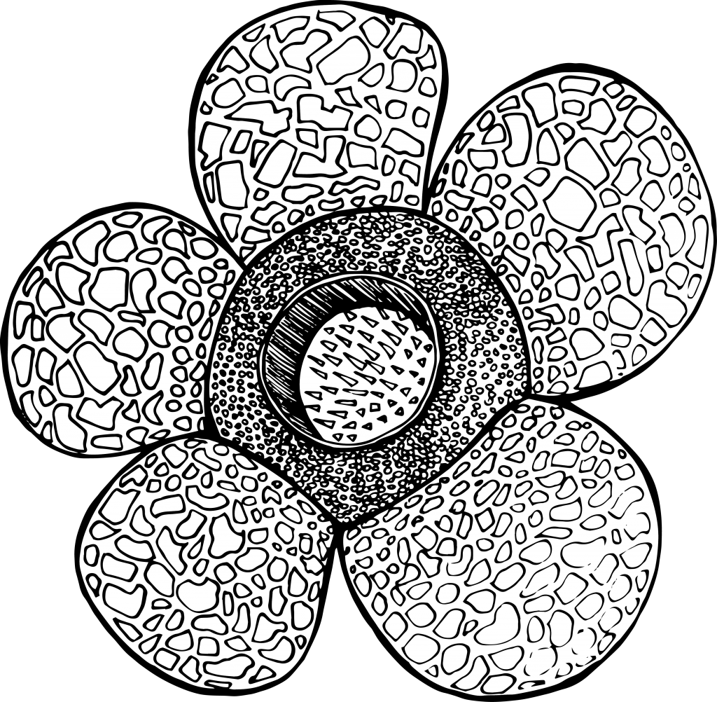 I Was Working On More Detailed And High-res Motifs (1024x1002), Png Download