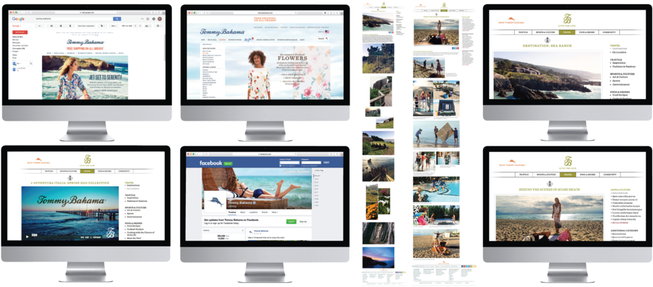 Ferdinand Van Alphen Portfolio Add Ecom-2 (1000x436), Png Download