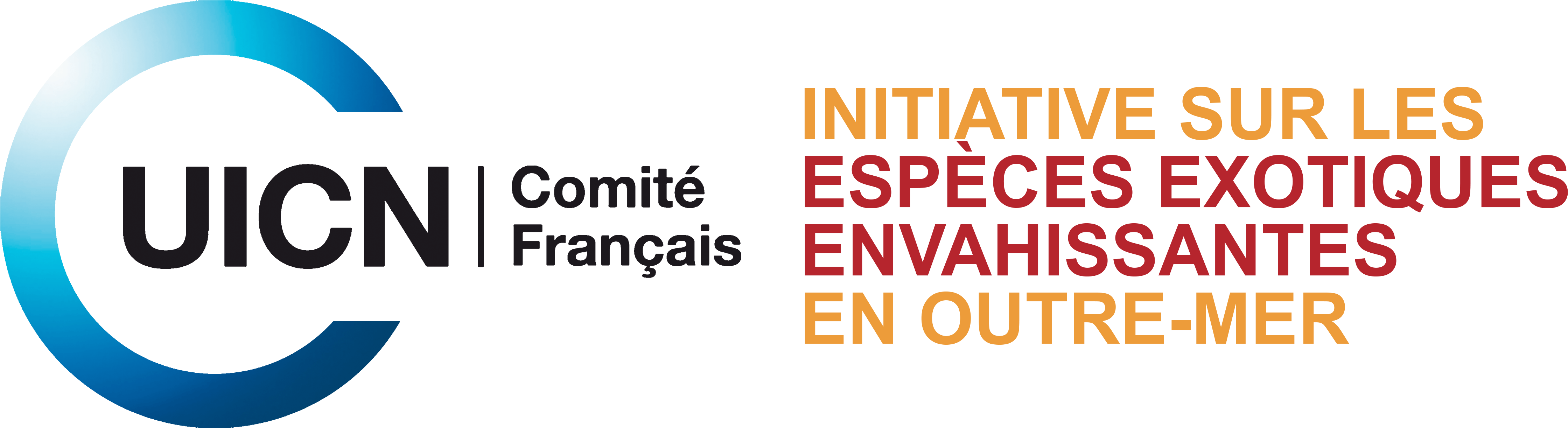 Melaleuca Quinquenervia (4859x1563), Png Download