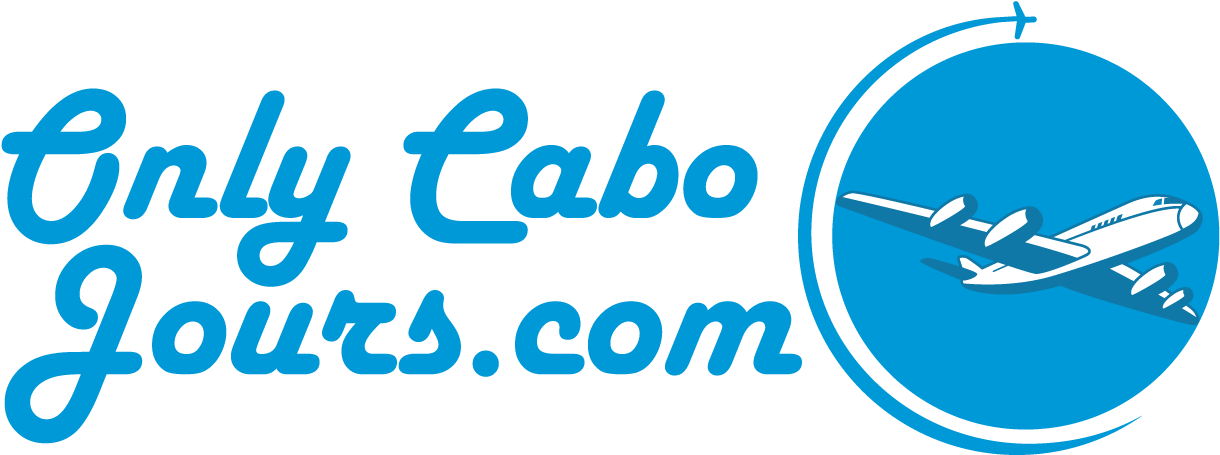 Copyright 2019 (1237x486), Png Download