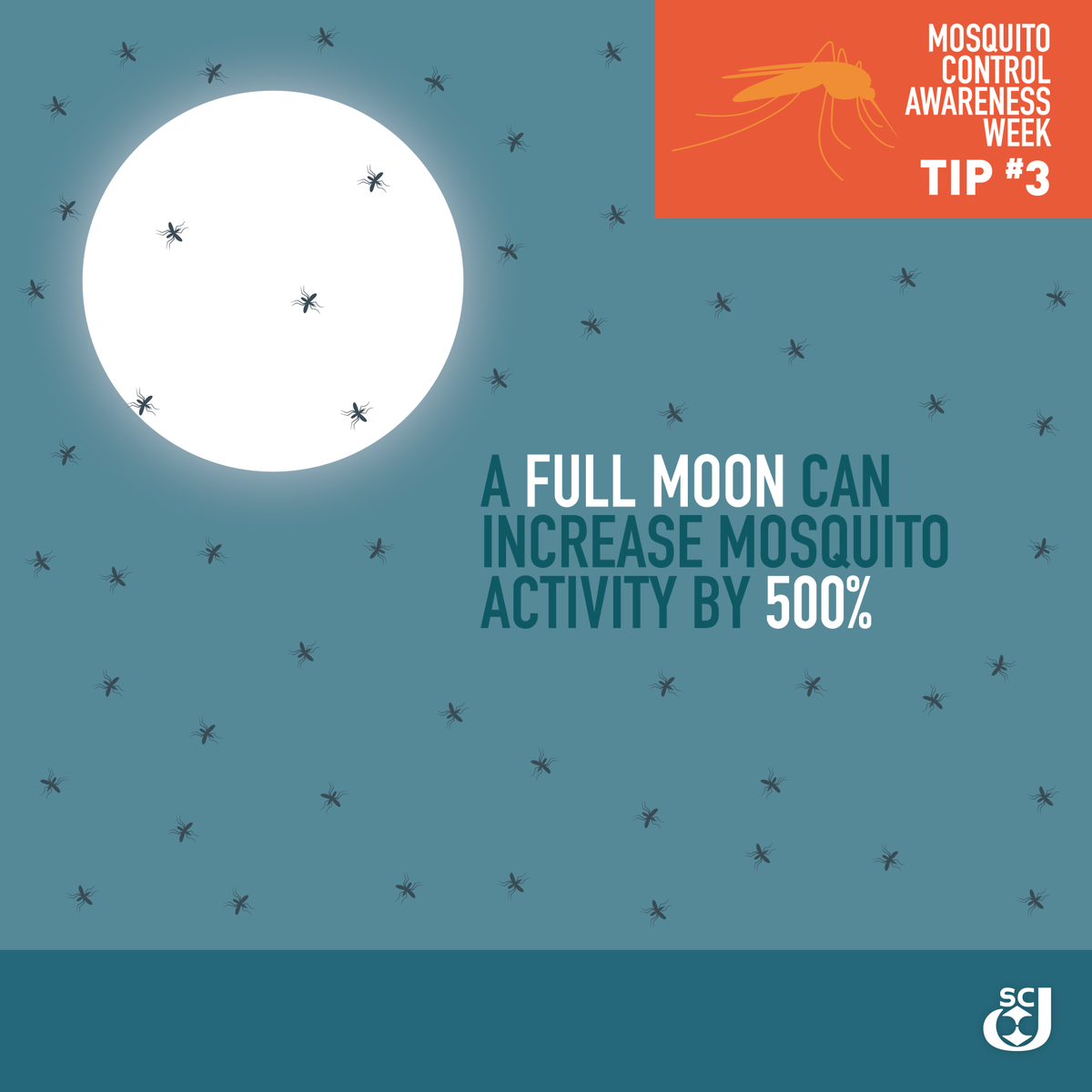 Sc Johnson On Twitter (1200x1200), Png Download