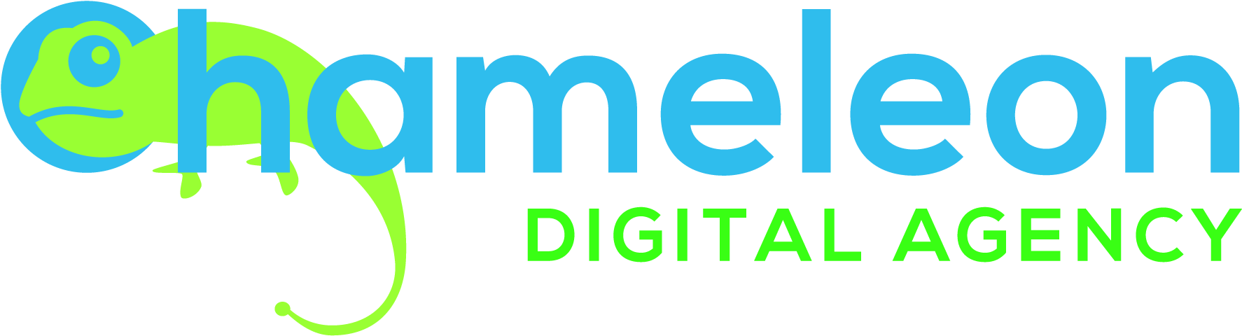 Chameleondigital Agency02 (2829x1913), Png Download