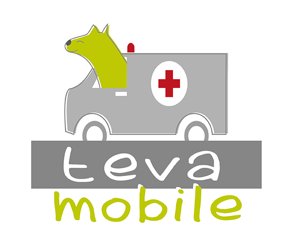 Teva Understands Bringing Your Best Friend To A Veterinary (1000x511), Png Download