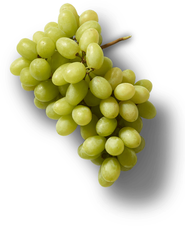 Green Grapes (628x767), Png Download