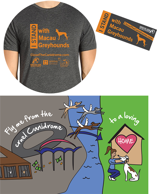 Donate To Save Macau Greyhounds (544x673), Png Download