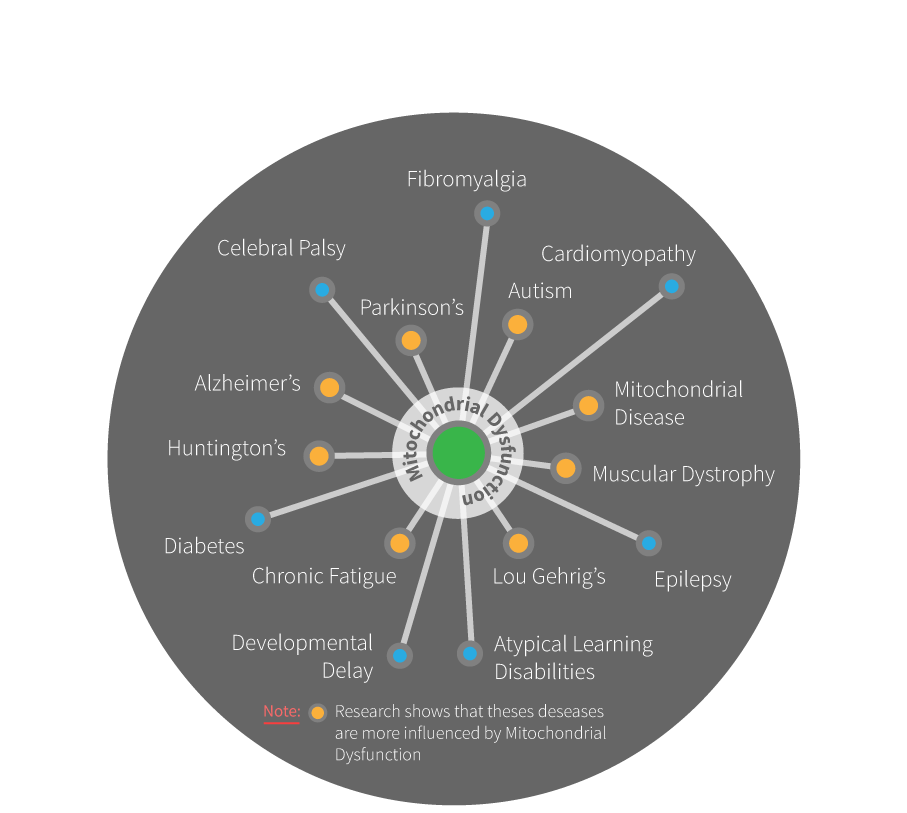 Image (1036x841), Png Download