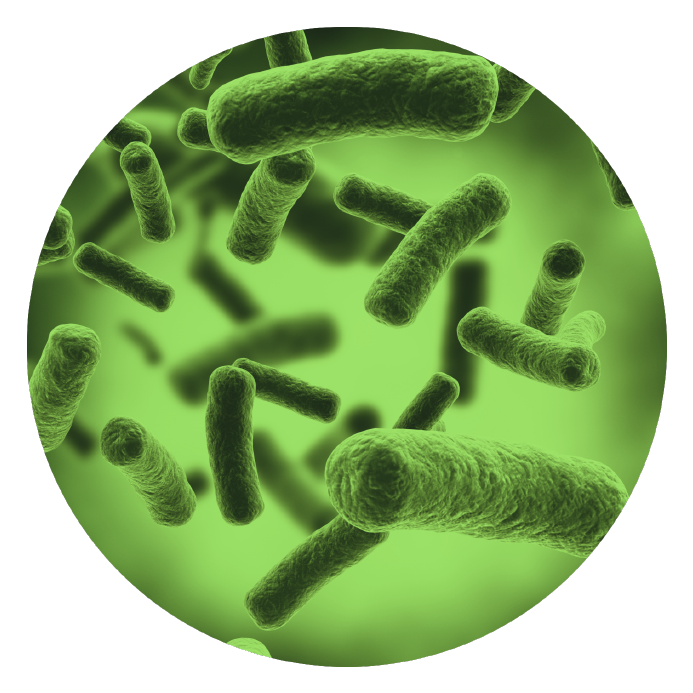 Ensuring Environmental Safety (809x809), Png Download