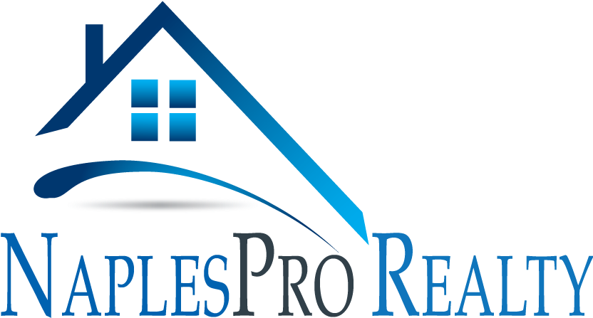 The Naplespro Source (919x479), Png Download