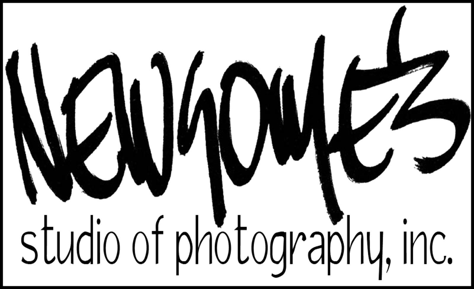 Our Pegasus Partners Are Community Businesses Who Contribute (1600x975), Png Download