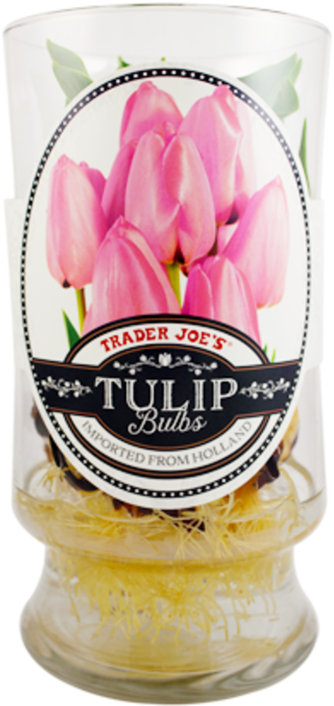 Get This And Hundreds Of Other Trader Joe's Favorites (683x800), Png Download