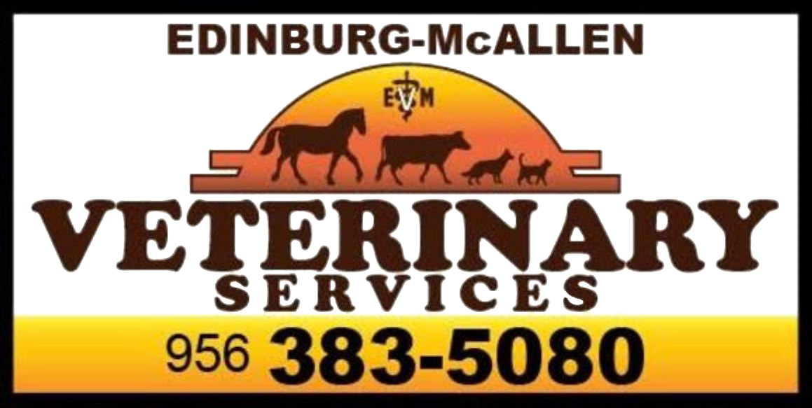 Edinburg-mcallen Veterinary Services, P (1159x583), Png Download