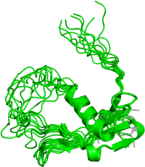 <div Class='caption-body'>1 Copy Of Cath Domain < (800x800), Png Download